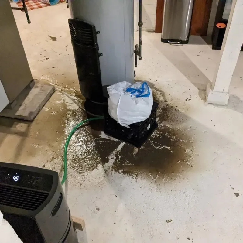 Sewage Backup Cleanup Service in Corcoran, CA